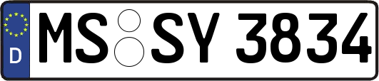 MS-SY3834
