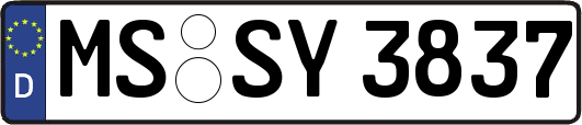 MS-SY3837