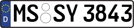 MS-SY3843