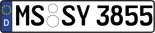 MS-SY3855