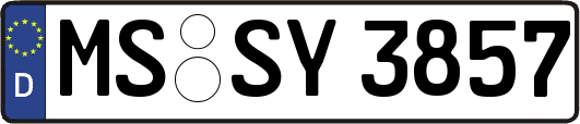 MS-SY3857