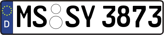 MS-SY3873