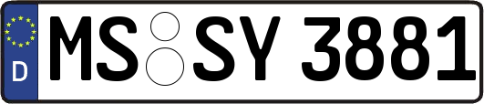 MS-SY3881