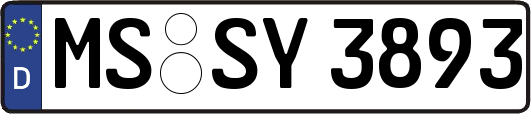 MS-SY3893
