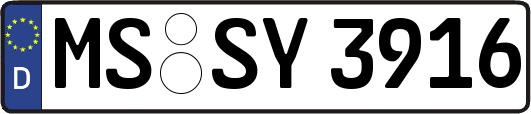MS-SY3916