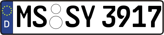 MS-SY3917