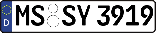 MS-SY3919