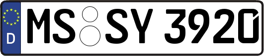 MS-SY3920