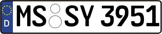 MS-SY3951