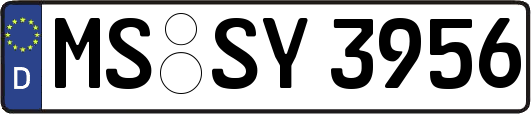 MS-SY3956