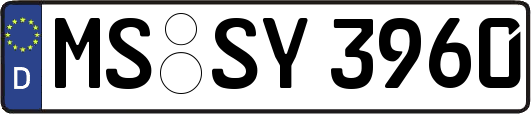 MS-SY3960