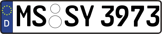 MS-SY3973