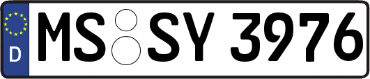 MS-SY3976