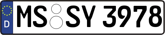 MS-SY3978