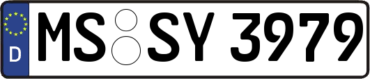 MS-SY3979