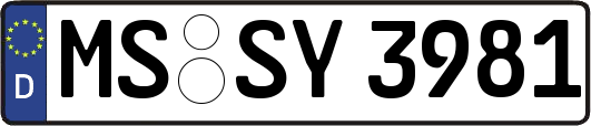 MS-SY3981
