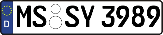 MS-SY3989
