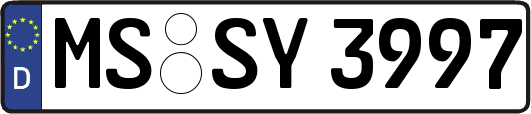 MS-SY3997