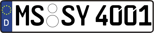 MS-SY4001