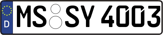 MS-SY4003