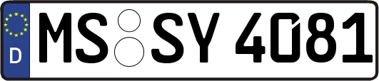 MS-SY4081