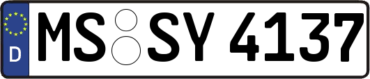 MS-SY4137