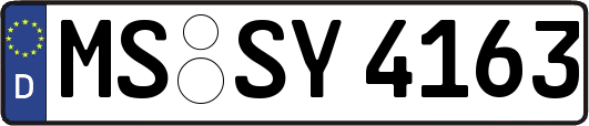 MS-SY4163