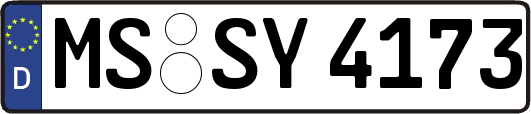 MS-SY4173