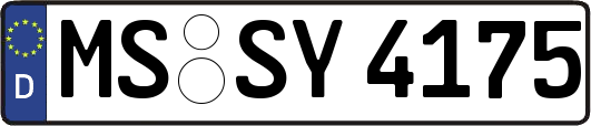 MS-SY4175