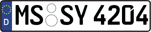 MS-SY4204