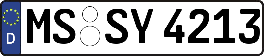 MS-SY4213