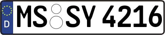 MS-SY4216