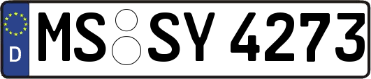 MS-SY4273