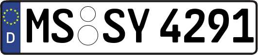 MS-SY4291