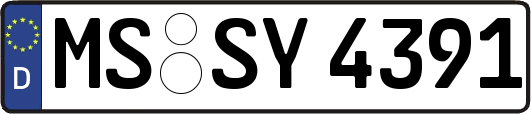 MS-SY4391