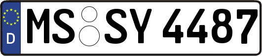 MS-SY4487