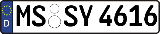 MS-SY4616