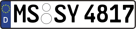 MS-SY4817
