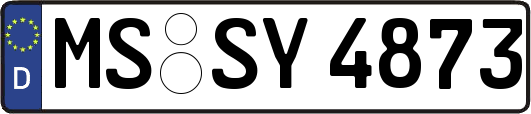 MS-SY4873
