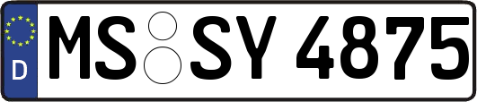 MS-SY4875
