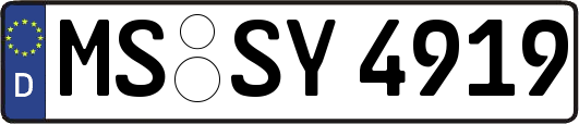 MS-SY4919