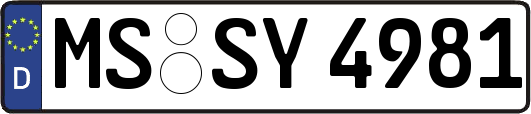MS-SY4981