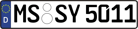 MS-SY5011