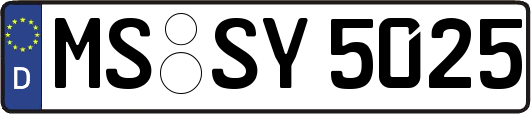 MS-SY5025