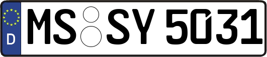 MS-SY5031