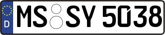 MS-SY5038