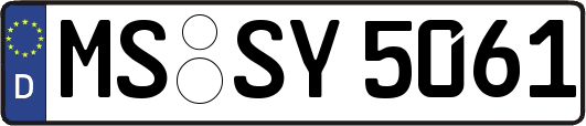 MS-SY5061