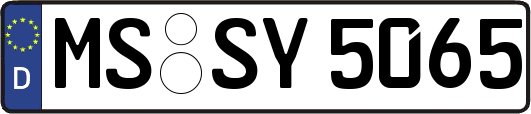 MS-SY5065