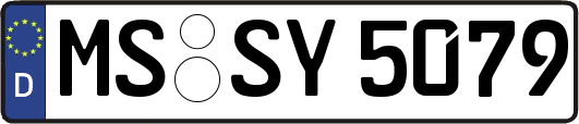 MS-SY5079