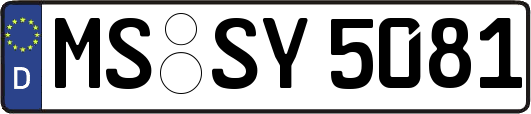 MS-SY5081